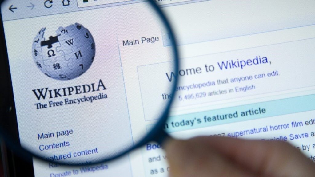 Journey into the World of Top Wikipedia Experts